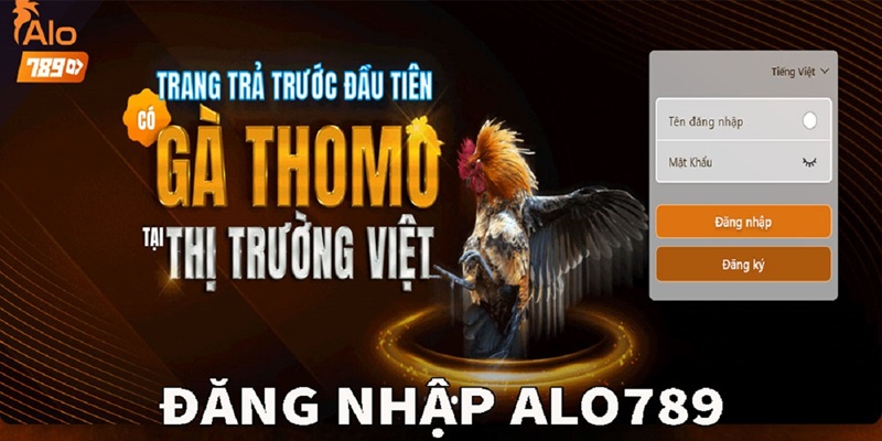 Các bước đăng nhập Alo789 dễ hiểu nhất